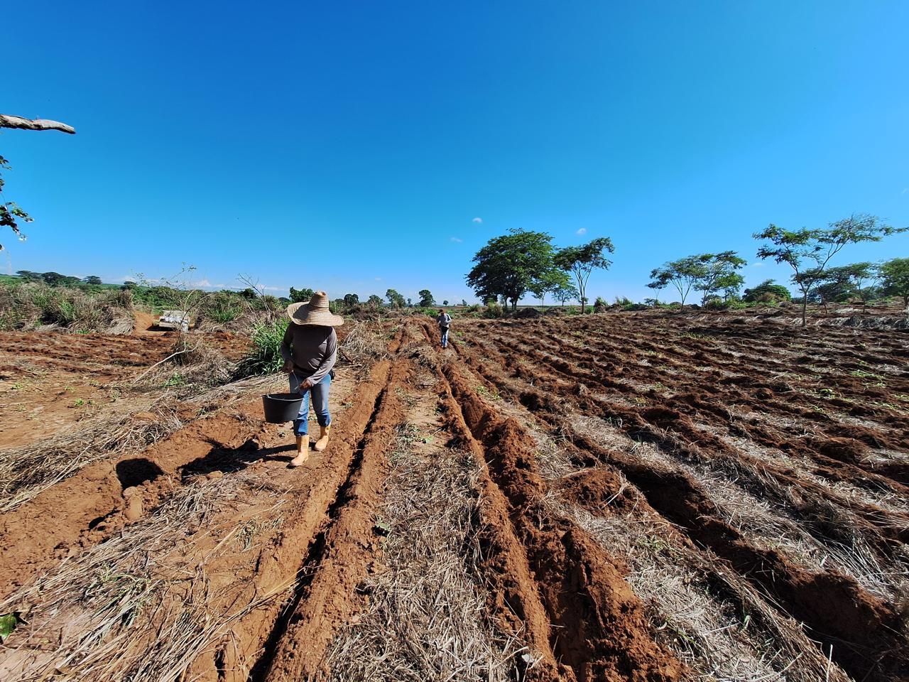 Com plantio na Fazenda Jaguara, Iniciativa Caminhos da Semente reforça ações de restauração ecológica no interior de São Paulo